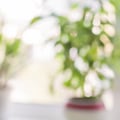 Must-Know Tips About 25x25x1 Air Filters Before Your Next Replacement