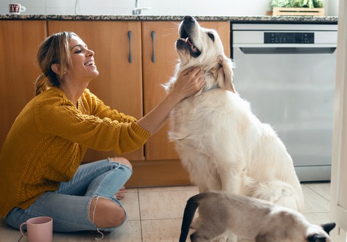 Your Guide to Choosing the Best 20x24x1 AC Furnace Home Air Filters